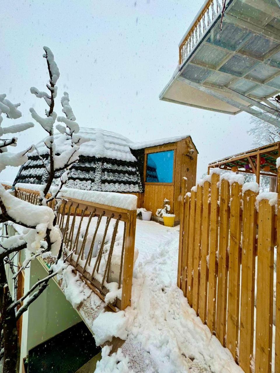 Infinity Sky Glamps Hotel Manali  Bagian luar foto